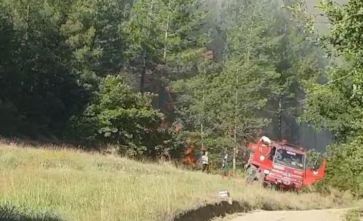Sakarya’da orman yangınına havadan ve karadan müdahale sürüyor