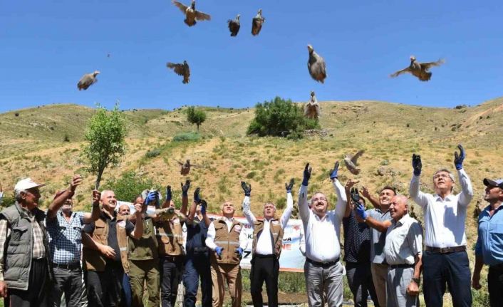 Salihli’de 450 kınalı keklik doğaya salındı