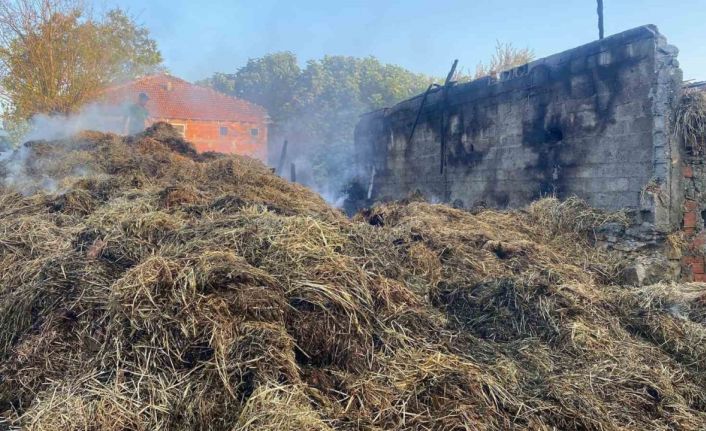 Samanlıkta çıkan yangında bin balya kül oldu