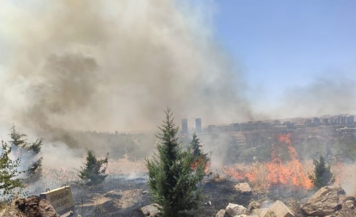 Şanlıurfa Orman Bölge Müdürlüğü bahçesinde çıkan yangın korkuttu