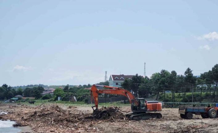 Selde sahile sürüklenen odunlar enerji olacak