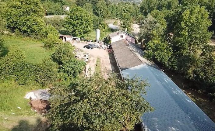 Sele teslim olan köydeki tavuk çiftliğinde 8 bin 400 tavuk telef oldu