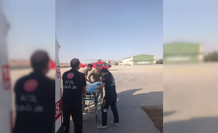 Siirt’te akrebin soktuğu çoban ambulans helikopterle hastaneye kaldırıldı
