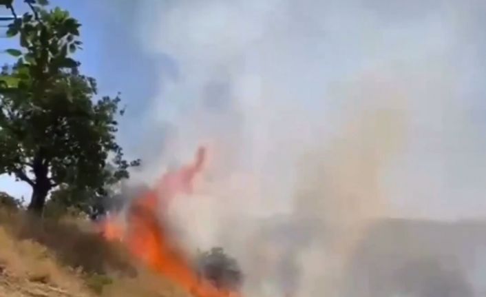Siirt’te fıstık bahçeleri yanıyor, ekipler müdahale ediyor