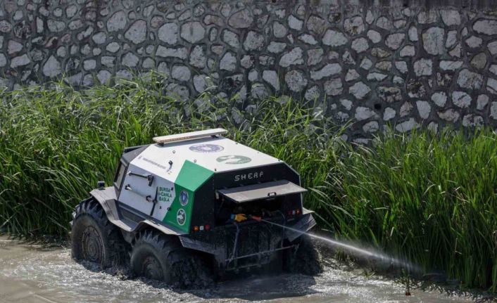 Sinekle mücadele hız kesmiyor