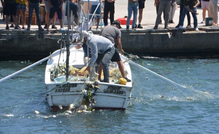 Sinop’ta deniz soğuk yaptı, vatandaşlar balık yakalamak için sahile akın etti