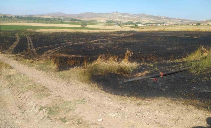 Sivas’ta tarla yangınında 50 dönüm ekili alan kül oldu