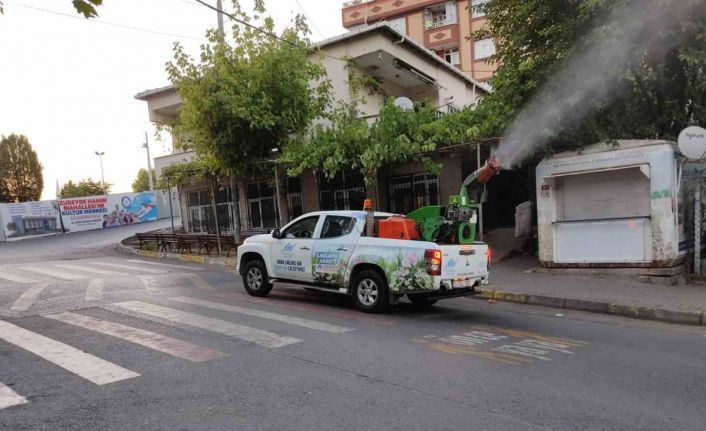 Sultangazi’de böcek ve haşerelere karşı ilaçlama çalışmaları tüm hızıyla sürüyor