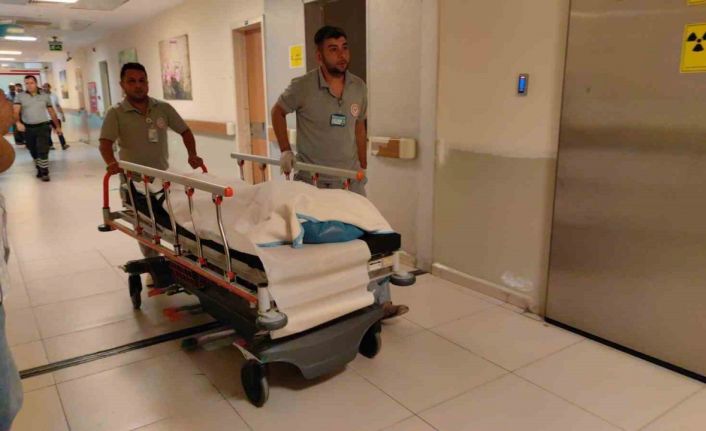 Tarlada uyurken kamyonetin ezdiği 4 yaşındaki çocuk hayatını kaybetti