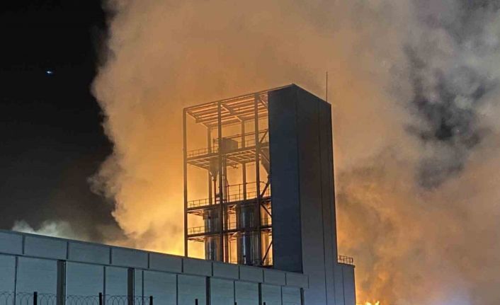 Tekirdağ’da karton fabrikasında yangın: Alevler geceyi aydınlattı
