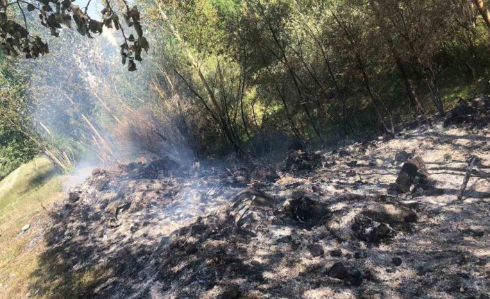Tercan’da örtü yangını büyümeden söndürüldü
