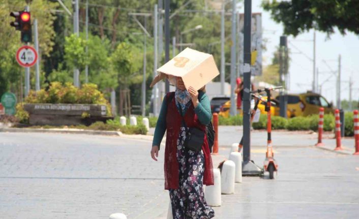 Termometreler 45 dereceyi gördü, sahil ıssızlaştı, şemsiyesi olmayan kartonla sokağa çıktı