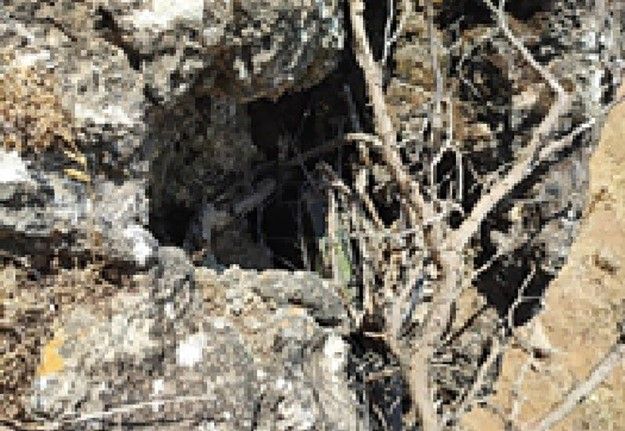 Terör örgütünün sözde Zap sorumlusunun yakın adamı, saklandığı mağarada etkisiz hale getirildi