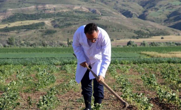 Traktör koltuğuna geçen dekan, bilim için tarla sürüp çapa yapıyor