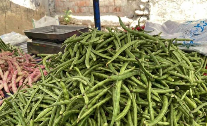 Türkiye’nin Börülce merkezi Muğla