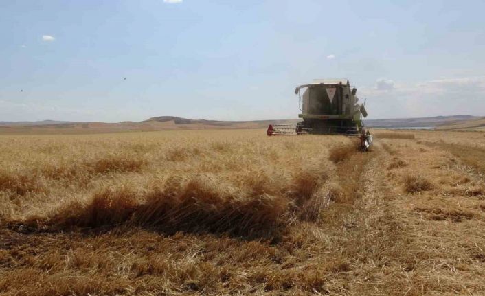 Uzman doktor uyardı: Güneydoğu Anadolu Bölgesi’nde kene ve akrep vakalarında artış
