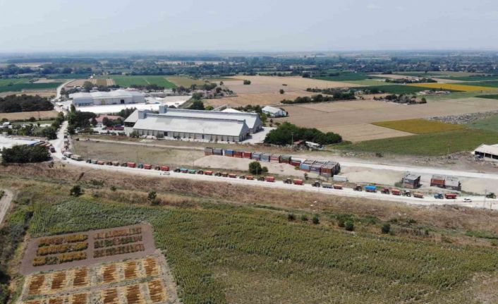 Uzun traktör kuyruğu oluşturan çiftçiler, kavurucu sıcağın altında ürünlerini satmayı sürdürüyor