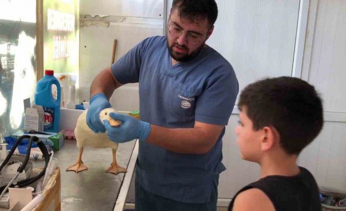 Yaşı küçük kalbi büyük Halit’ten alkışlanacak hareket