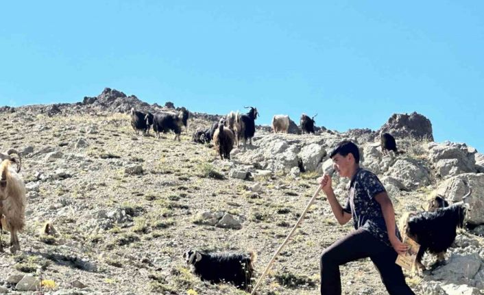 Yaylada çobanlık yapan ve LGS’de Türkiye ikincisi olan Muhammet’in kazandığı lise belli oldu