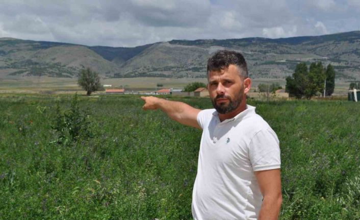 Yıllar önce planlaması yapılan imar projeleri hala hayata geçirilmeyi bekliyor