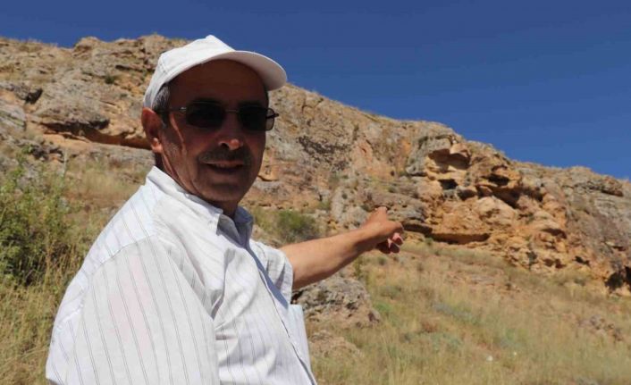 10 yıl sonra kendilerini gösterdiler, Sivas’ta kara leylek ailesi görüntülendi