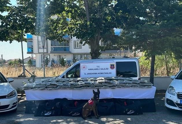 1 ayda 101 kilo skunk, 222 bin kök kenevir ele geçirildi