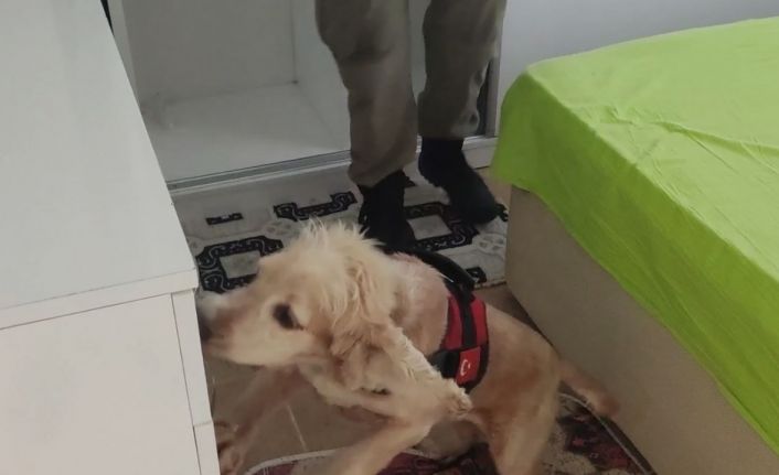 9 kilogram kokain Çaki’ye takıldı