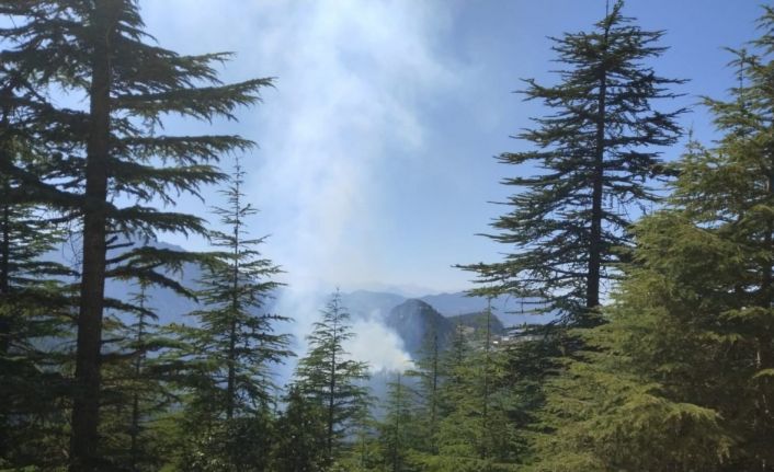 Adana Feke’deki orman yangını kontrol altına alındı