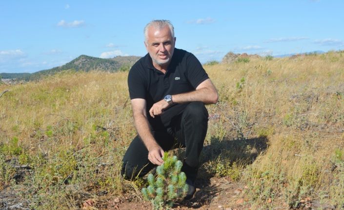 AK Parti Ayvalık İlçe Başkanı Ali Gür istifa etti