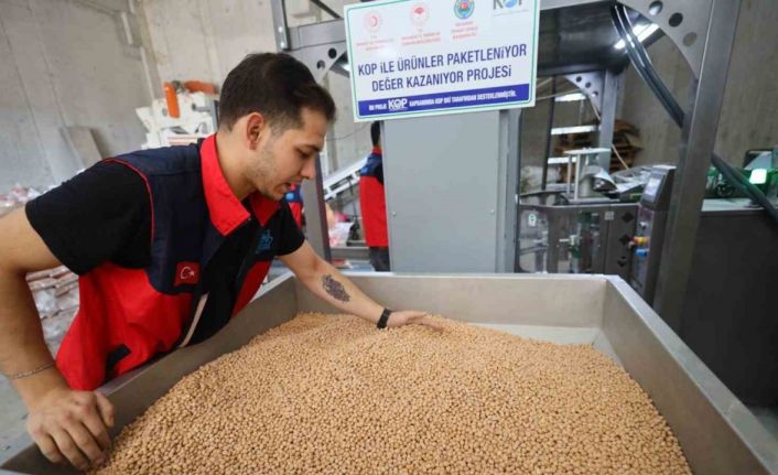 Aksaray Belediyesi hasat ettiği nohutları ihtiyaç sahiplerine ulaştırıyor