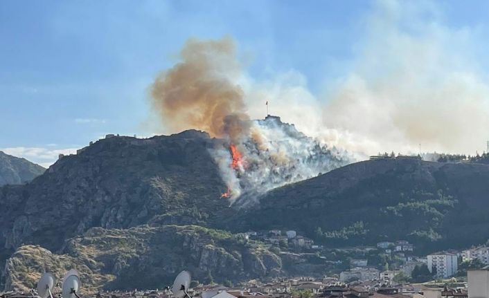 Amasya Kalesi’nde ormanlık alanda yangın