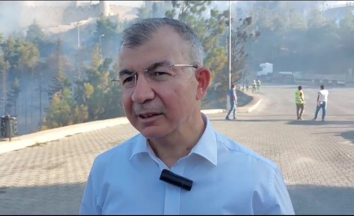 Amasya Valisi Doruk: “Yaklaşık 45-50 dönüm yer yandı”