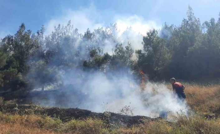 Amasya’da çıkan yangın ormanlık alana sıçradı
