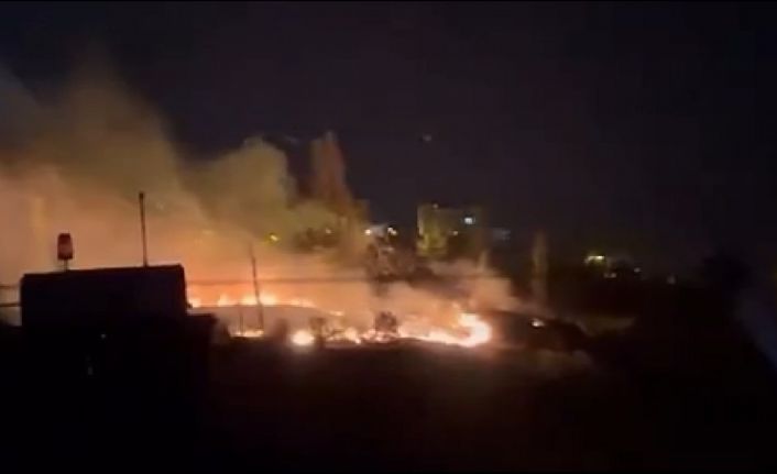 Ankara’da ağaçlık alan yandı