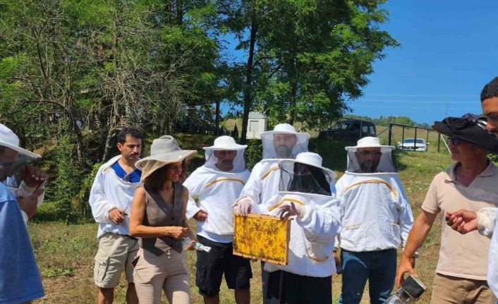 Apiturizm faaliyetleri DAGEM ile dünyaya tanıtılıyor