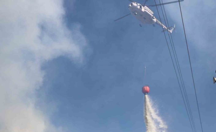 Arazide çıkan yangın yerleşim yerine sıçradı, ekipler seferber oldu