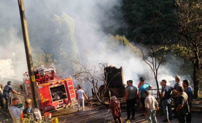Artvin’de 5 ev, 2 ahır, samanlık ve bir traktör yandı