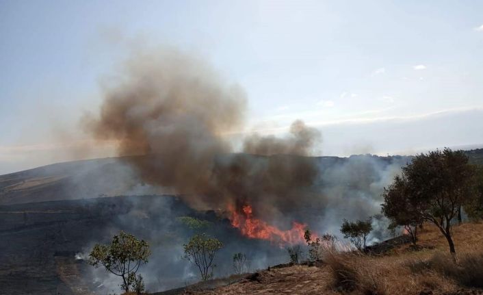 Avşa Adasında 2 günde 2 yangın çıktı