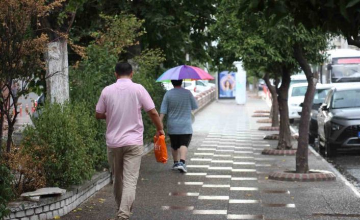 Aydın’da başlayan yaz yağmuru serinletti