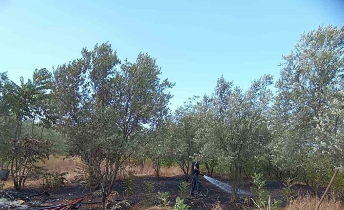 Ayrı yerlerde meydana gelen yangınlar söndürüldü