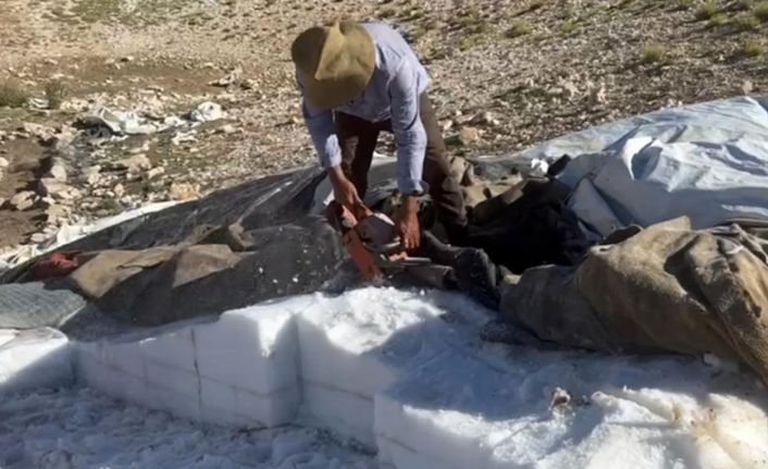 Bahar aylarında koruma altına aldıkları ’kar dağlarını’ ağaç motoruyla kesiyorlar