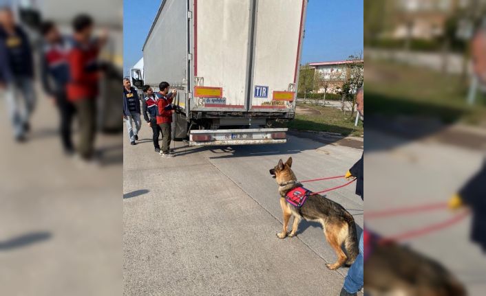 Bakan Yerlikaya duyurdu: Sakarya ve Hatay’da 39 göçmen kaçakçısı organizatör yakalandı