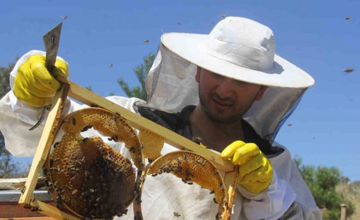 Bal üretiminde zirvede yer alan Sivas’ta rekolte düştü
