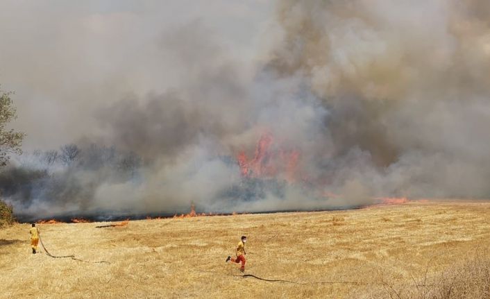 Balıkesir’de orman yangını