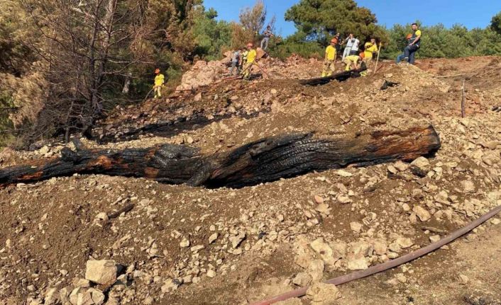 Balıkesir’de orman yangını söndürüldü