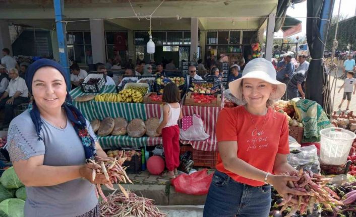 Barbunyaya hasret Barbunya Festivali