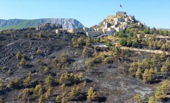 Başkan Çelik açıkladı: “Amasya Kalesi surları yangında zarar görmedi”