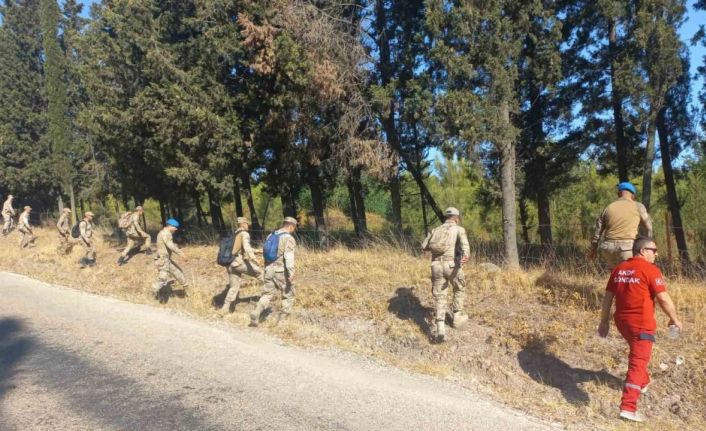 Berzeg için ormanlar karış karış aranıyor