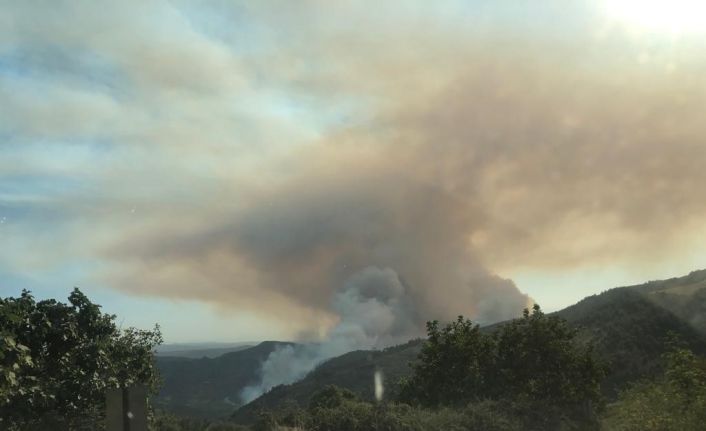 Bilecik’te çıkan orman yangının dumanı kenti kapladı