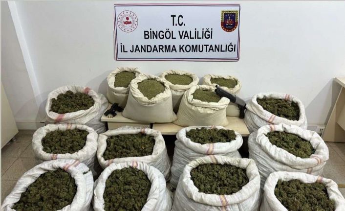 Bingöl’de 11 milyon kök kenevir ve 163 kilo toz esrar ele geçirildi